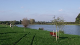 www.dpse.hu