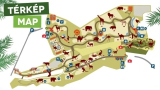 www.dpse.hu